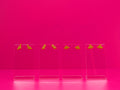 Set of brown dinosaur earrings on clear stands against a pink background